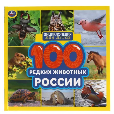 Книжка с заданиями, А4, Умка 50 развивающих заданий. Для детей 6 лет и  старше, 16 стр. - купить в интернет-магазине Азбукиведия