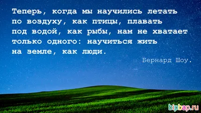 Приятные цитаты-пожелания хорошего дня (100 картинок) | Мудрые цитаты,  Вдохновляющие цитаты, Лучшие цитаты