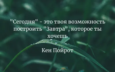 Лучшие цитаты из книг в красивых картинках онлайн — Canva