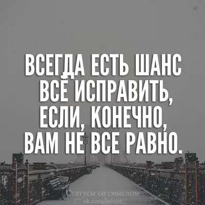 Смешные фразы и афоризмы со смыслом: 50+ высказываний