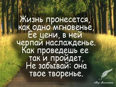 Картинки по запросу мужчина и женщина цитаты | Мудрые цитаты, Самые смешные  цитаты, Жизнеутверждающие цитаты