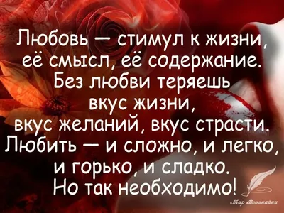 Прикольные афоризмы на все случаи жизни | Жизнь в стиле Ноль отходов (zero  waste) | Дзен