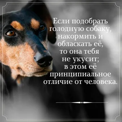 Красивые цитаты со смыслом про любовь - скачать бесплатно в картинках