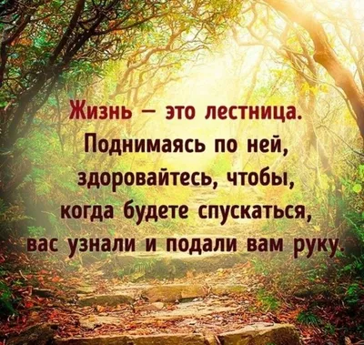 Красивые цитаты про жизнь в картинках (200 цитат) | Life quotes, Wisdom  quotes, Quotations