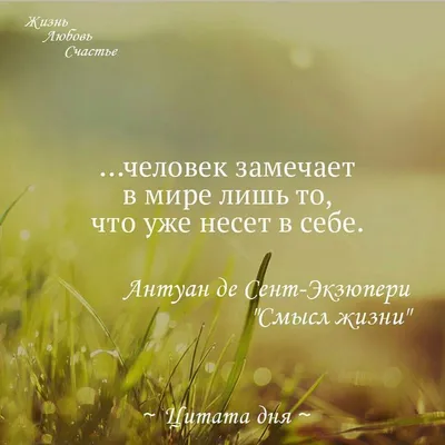 Цитаты великих людей в красивых картинках — дизайн Canva