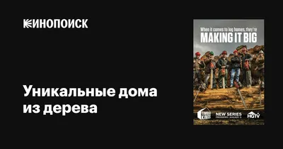 Из чего лучше строить дом? - Ответ от Строительной компании