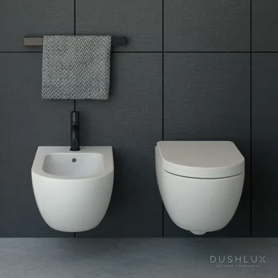 Унитаз подвесной, с глубоким смыванием, с ободком (H8205430000001) | Laufen  Bathrooms