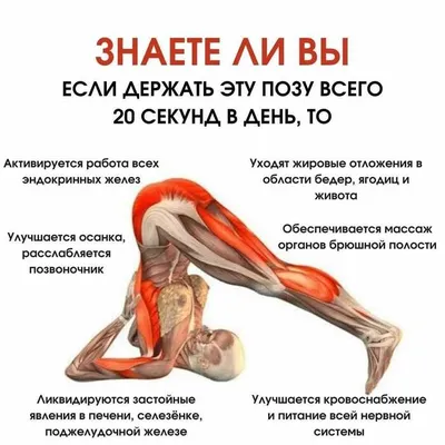 Fitnes: истории из жизни, советы, новости, юмор и картинки — Все посты |  Пикабу