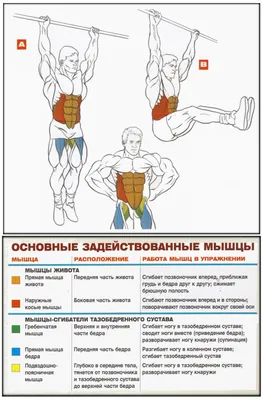 УПРАЖНЕНИЯ ДЛЯ СТРОЙНЫХ НОГ И УПРУГИХ БЕДЕР | ПОХУДЕЙ В ЛЯШКАХ ЗА 2 НЕДЕЛИ  | Упражнения, Планы тренировок, Тренировки мышц живота