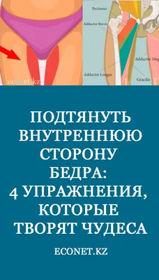 Подтянуть внутреннюю сторону бедра: 4 упражнения, которые творят чудеса |  Упражнения, Упражнение для начинающих, Быстрые тренировки