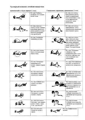 Упражнения для позвоночника в картинках фотографии