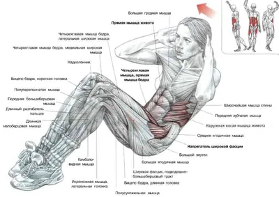 Упражнения для пресса - блог магазина спортивного питания 5LB.UA