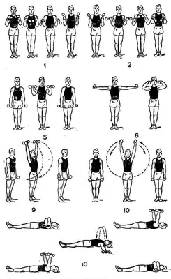 7 отличных упражнений с гантелями, которые ты сможешь делать дома -  Рамблер/женский