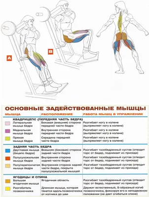 Тренажеры в спортзале