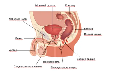 Блог - Санаторий «Кирова» официальный сайт г. Ялта