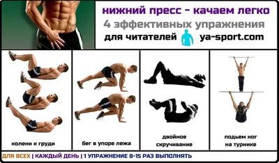 Упражнения для пресса - записи в блогах на Sports.ru