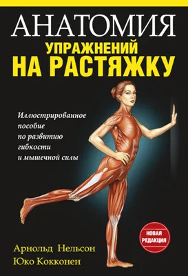 Анатомия упражнений на растяжку. Арнольд Нельсон, Юко Кокконен -  «Книга-инструкция по растяжке тела. Мой помощник к маленькой мечте.» |  отзывы