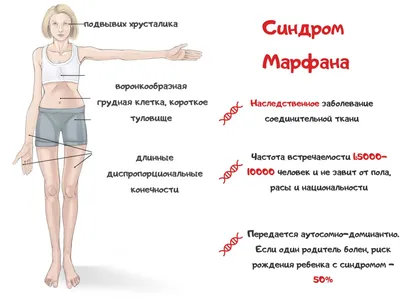 Развитие плода по неделям беременности: вес, рост, расположение, этапы