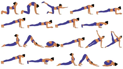 Позы йоги для начинающих: основные асаны, растяжка и прогибы