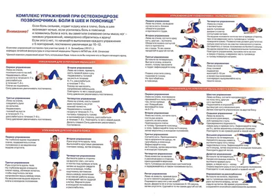 ЛФК при переломе позвоночника | Реабилитационный центр ЭйрМед в СПб