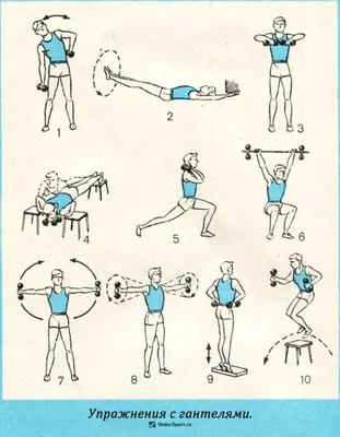 Зарядка с гантелями для детей - 47 фото