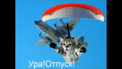 УРА🥳🥳 Долгожданный отпуск🤩 С 26.07-04.08 буду в отпуске✈️ Кто хотел  записаться до 26 июля и после 4 августа, напишите мне😊. ▫️Direct/WA… |  Instagram