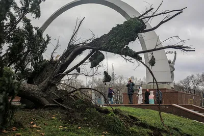 Ураган в Киеве: людей давили вырванные деревья (ФОТО, ВИДЕО) | НашКиїв.UA