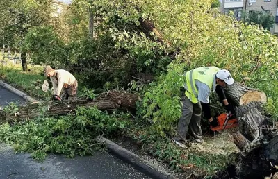 Ураган в ДНР, Крыму и Севастополе отнесли к ЧП федерального уровня — РБК