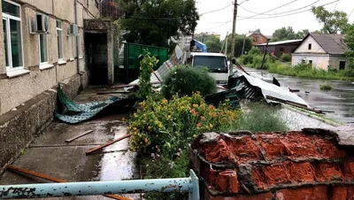 Ураган вырвал с корнем дерево в Волгограде: фото