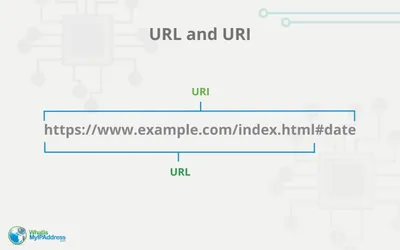 Navigating the Web: A Guide to \"Search Google or Type a URL | Adlift