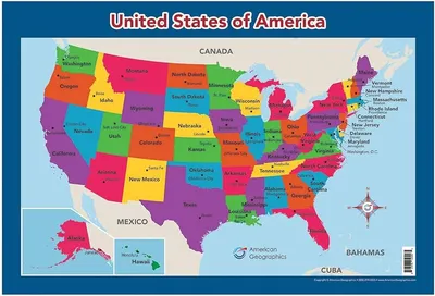 USA Map. Political map of the United States of America. US Map with color  background and all states name. Stock Vector | Adobe Stock