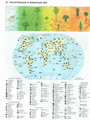 Подборка интересных географических карт | Пикабу