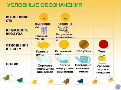 Условные обозначения - Форум