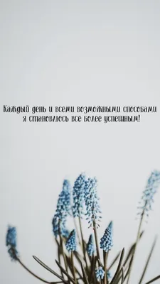 Выданы первые 100 микрозаймов в 2021 году крымским предпринимателям.