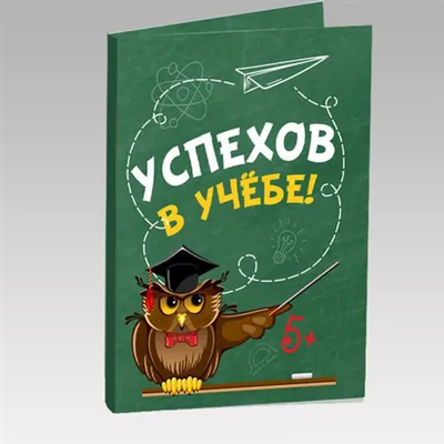 071.484 Мини-плакат А4 Успехов в учёбе! Вырубка - купить с доставкой по  низким ценам | Интернет-магазин Fkniga.ru