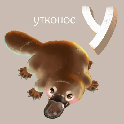 утконос рисунок животных декор стен - TenStickers