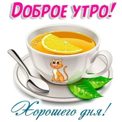 Доброе утро☀️ | Доброе утро, Утренние цитаты, Счастливые картинки