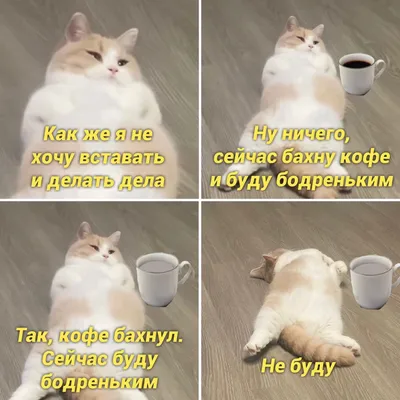 ☕Утренний Кофе. угощаю…» — создано в Шедевруме