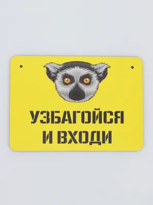 Наклейка на авто Лемур узбагойся надпись на авто - купить по выгодным ценам  в интернет-магазине OZON (709296913)