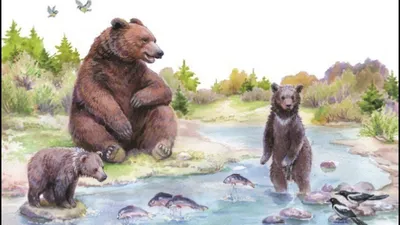 Купание медвежат||Бианки Виталий Валентинович|| Аудиорассказ | Медвежата,  Купание, Рисунки
