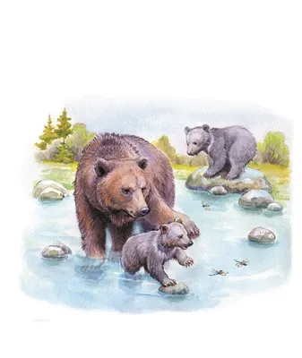 Иллюстрация Купание медвежат в стиле детский | Illustrators.ru