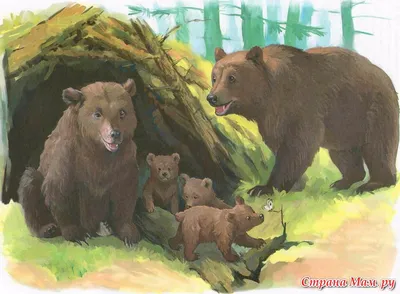 Медведица с медвежатами в лесу - 73 фото