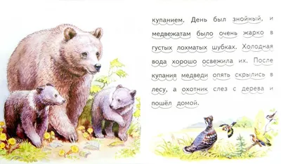 Книга: \"Лис и мышонок\" - Виталий Бианки. Купить книгу, читать рецензии |  ISBN 978-5-00040-260-3 | Лабиринт