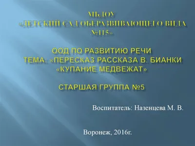 Медвежата утром в лесу - 74 фото