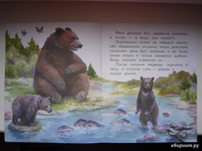 Купание медвежат иллюстрации для детей (41 фото) » Уникальные и креативные  картинки для различных целей - Pohod.club