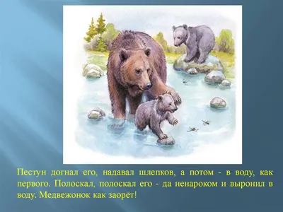 Картинки медведица летом (61 фото) » Картинки и статусы про окружающий мир  вокруг