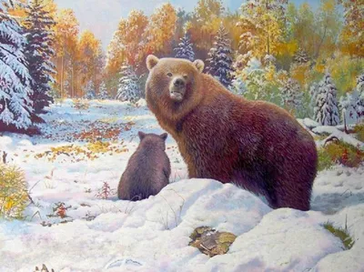 Пересказ рассказа В. Бианки «Купание медвежат» - online presentation