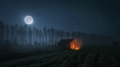 В гостях хорошо, а дома лучше. Нет лучше ничего, чем родной дом. Мой дом-моя  крепость. - ppt download