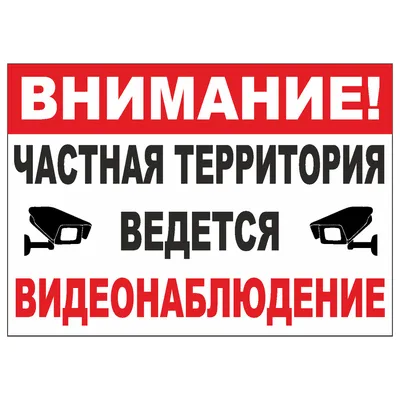 Табличка \"Ведется видеонаблюдение\", 29 см, 21 см - купить в интернет- магазине OZON по выгодной цене (179698387)