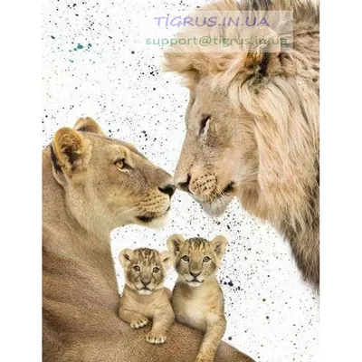 Картинка для капкейков Король Лев \"The Lion King\" - PT102570 печать на  сахарной пищевой бумаге